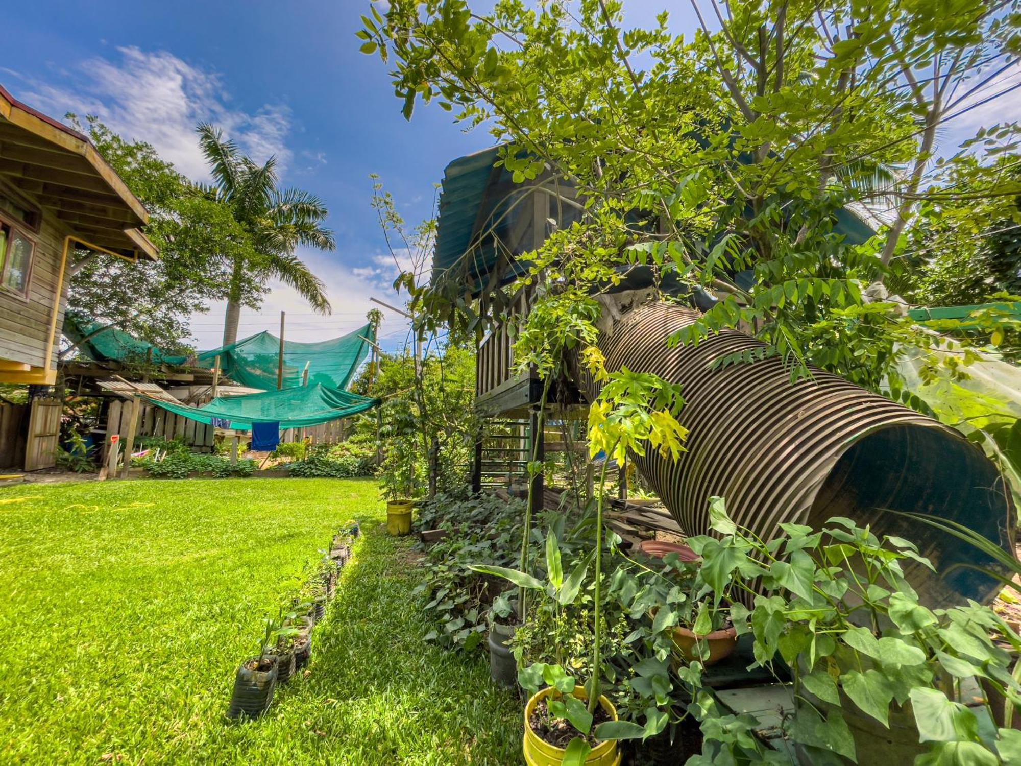 Garden Rooms Bocas Town Exterior photo