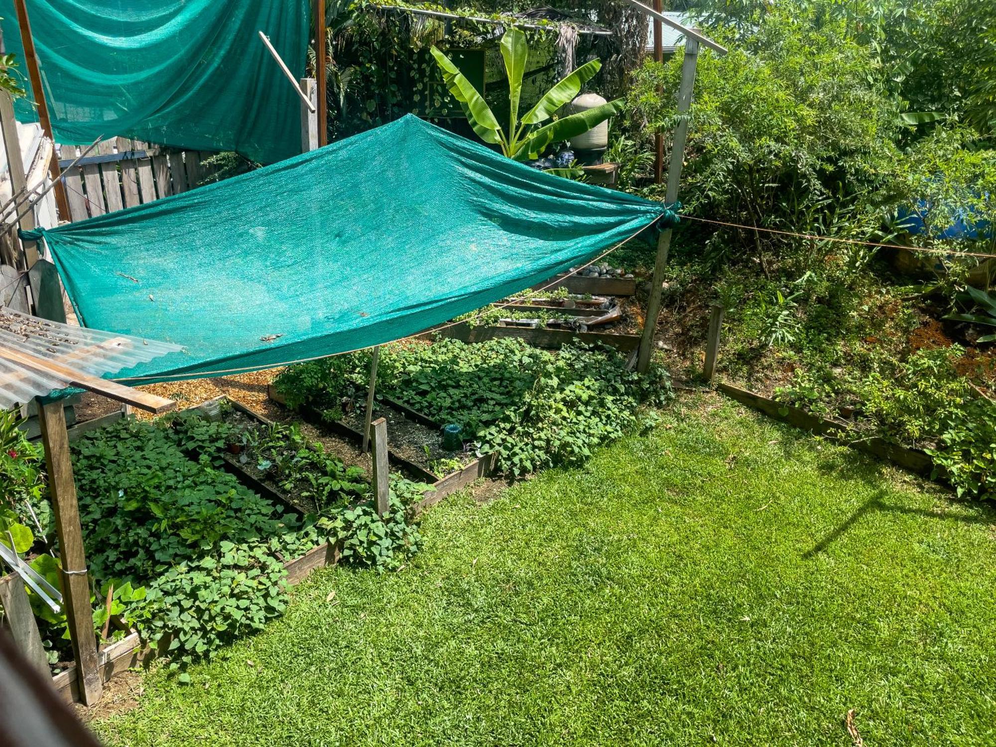 Garden Rooms Bocas Town Exterior photo